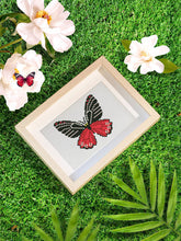 Laden Sie das Bild in den Galerie-Viewer, Mini Serie Diamond Painting - Schmetterlinge 2
