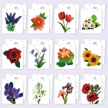 Laden Sie das Bild in den Galerie-Viewer, Malen nach Zahlen Kalender 2026 – Saisonale Blumen