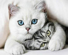 Laden Sie das Bild in den Galerie-Viewer, Diamond Painting, Befreundete Katzen