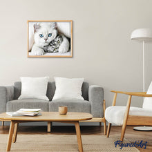 Laden Sie das Bild in den Galerie-Viewer, Diamond Painting | Diamond Painting - Friends Cats | animals cats Diamond Painting Animals | FiguredArt