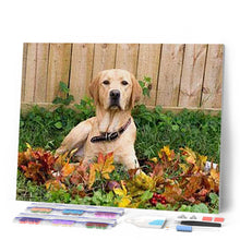 Laden Sie das Bild in den Galerie-Viewer, Diamond Painting | Diamond Painting - Labrador | animals Diamond Painting Animals | FiguredArt