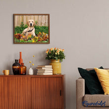 Laden Sie das Bild in den Galerie-Viewer, Diamond Painting | Diamond Painting - Labrador | animals Diamond Painting Animals | FiguredArt