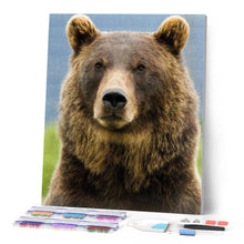 Laden Sie das Bild in den Galerie-Viewer, Diamond Painting | Diamond Painting - Bear | animals bear Diamond Painting Animals | FiguredArt