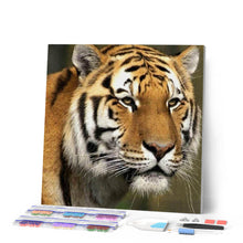 Laden Sie das Bild in den Galerie-Viewer, Diamond Painting | Diamond Painting - Tiger | animals Diamond Painting Animals tigers | FiguredArt