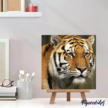 Laden Sie das Bild in den Galerie-Viewer, Diamond Painting | Diamond Painting - Tiger | animals Diamond Painting Animals tigers | FiguredArt