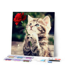 Laden Sie das Bild in den Galerie-Viewer, Diamond Painting | Diamond Painting - Cat with Rose | animals cats Diamond Painting Animals Diamond Painting Flowers flowers | FiguredArt