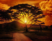 Laden Sie das Bild in den Galerie-Viewer, Diamond Painting – Großer Baum und Sonnenaufgang
