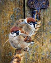 Laden Sie das Bild in den Galerie-Viewer, Diamond Painting, Vögel auf einem Seil