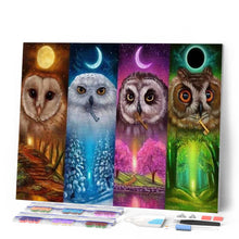 Laden Sie das Bild in den Galerie-Viewer, Diamond Painting | Diamond Painting - Multicolored Owls | animals Diamond Painting Animals owls | FiguredArt
