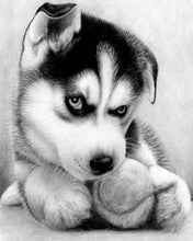 Laden Sie das Bild in den Galerie-Viewer, Diamond Painting, Kleiner Husky mit Tennisball