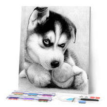 Laden Sie das Bild in den Galerie-Viewer, Diamond Painting | Diamond Painting - Small Husky Player | animals Diamond Painting Animals | FiguredArt