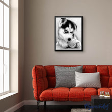 Laden Sie das Bild in den Galerie-Viewer, Diamond Painting | Diamond Painting - Small Husky Player | animals Diamond Painting Animals | FiguredArt