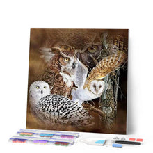 Laden Sie das Bild in den Galerie-Viewer, Diamond Painting | Diamond Painting - Owls | animals Diamond Painting Animals owls | FiguredArt