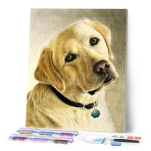 Laden Sie das Bild in den Galerie-Viewer, Diamond Painting – Porträt eines Labradors