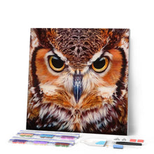 Laden Sie das Bild in den Galerie-Viewer, Diamond Painting | Diamond Painting - Portrait of Owls | animals Diamond Painting Animals owls | FiguredArt