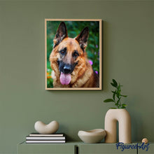 Laden Sie das Bild in den Galerie-Viewer, Diamond Painting | Diamond Painting - German Shepherd | animals Diamond Painting Animals | FiguredArt