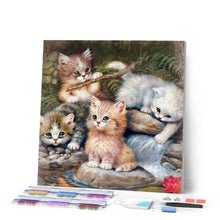 Laden Sie das Bild in den Galerie-Viewer, Diamond Painting | Diamond Painting - Kitten Players | animals cats Diamond Painting Animals | FiguredArt
