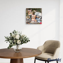 Laden Sie das Bild in den Galerie-Viewer, Diamond Painting | Diamond Painting - Kitten Players | animals cats Diamond Painting Animals | FiguredArt