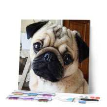Laden Sie das Bild in den Galerie-Viewer, Diamond Painting | Diamond Painting - Cute Pug | animals Diamond Painting Animals | FiguredArt