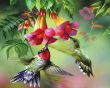 Laden Sie das Bild in den Galerie-Viewer, Diamond Painting – Colibris und ihre Blumen