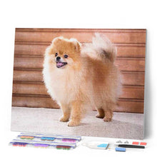 Laden Sie das Bild in den Galerie-Viewer, Diamond Painting | Diamond Painting - Small Dog | animals Diamond Painting Animals dogs | FiguredArt
