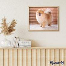 Laden Sie das Bild in den Galerie-Viewer, Diamond Painting | Diamond Painting - Small Dog | animals Diamond Painting Animals dogs | FiguredArt