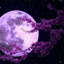 Laden Sie das Bild in den Galerie-Viewer, Diamond Painting, Vollmond und Blumen