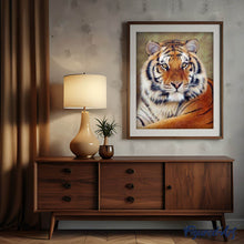 Laden Sie das Bild in den Galerie-Viewer, Diamond Painting – Tigerauge – 40 x 50 cm auf Keilrahmen gespannt | Figured'Art