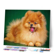 Laden Sie das Bild in den Galerie-Viewer, Diamond Painting | Diamond Painting - Cute Dog | animals Diamond Painting Animals dogs | FiguredArt