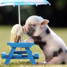 Laden Sie das Bild in den Galerie-Viewer, Diamond Painting, Schwein und Eis