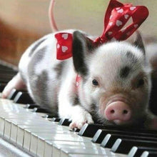 Laden Sie das Bild in den Galerie-Viewer, Diamond Painting, Schwein und Klavier