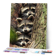 Laden Sie das Bild in den Galerie-Viewer, Diamond Painting | Diamond Painting - Raccoons | animals Diamond Painting Animals raccoons | FiguredArt