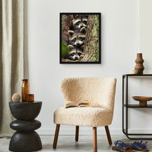 Laden Sie das Bild in den Galerie-Viewer, Diamond Painting | Diamond Painting - Raccoons | animals Diamond Painting Animals raccoons | FiguredArt