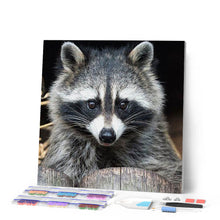 Laden Sie das Bild in den Galerie-Viewer, Diamond Painting | Diamond Painting - Pretty Raccoon | animals Diamond Painting Animals raccoons | FiguredArt