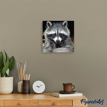 Laden Sie das Bild in den Galerie-Viewer, Diamond Painting | Diamond Painting - Pretty Raccoon | animals Diamond Painting Animals raccoons | FiguredArt
