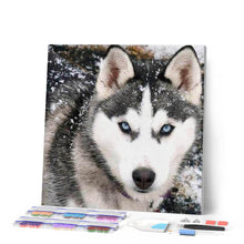 Laden Sie das Bild in den Galerie-Viewer, Diamond Painting | Diamond Painting - Wolf Face | animals Diamond Painting Animals rabbits wolves | FiguredArt