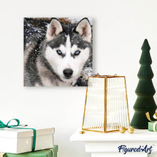 Laden Sie das Bild in den Galerie-Viewer, Diamond Painting | Diamond Painting - Wolf Face | animals Diamond Painting Animals rabbits wolves | FiguredArt