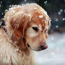 Laden Sie das Bild in den Galerie-Viewer, Diamond Painting, Hund im Schnee