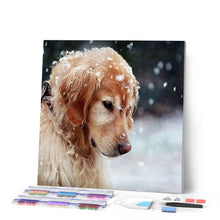 Laden Sie das Bild in den Galerie-Viewer, Diamond Painting | Diamond Painting - Dog in the Snow | animals Diamond Painting Animals dogs winter | FiguredArt