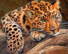 Laden Sie das Bild in den Galerie-Viewer, Diamond Painting, Panther