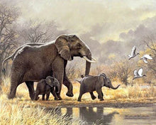 Laden Sie das Bild in den Galerie-Viewer, Diamond Painting, Elefantenfamilie in der Savanne