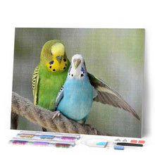 Laden Sie das Bild in den Galerie-Viewer, Diamond Painting | Diamond Painting - Parakeets | animals Diamond Painting Animals | FiguredArt