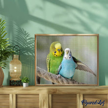 Laden Sie das Bild in den Galerie-Viewer, Diamond Painting | Diamond Painting - Parakeets | animals Diamond Painting Animals | FiguredArt