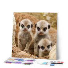 Laden Sie das Bild in den Galerie-Viewer, Diamond Painting | Diamond Painting - Little Monkeys | animals Diamond Painting Animals monkeys | FiguredArt