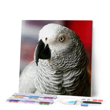 Laden Sie das Bild in den Galerie-Viewer, Diamond Painting | Diamond Painting - White Bird | animals birds Diamond Painting Animals | FiguredArt