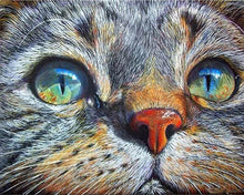Laden Sie das Bild in den Galerie-Viewer, Diamond Painting, Katzengesicht