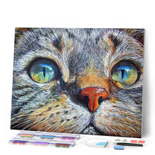 Laden Sie das Bild in den Galerie-Viewer, Diamond Painting | Diamond Painting - Cat Face | animals cats Diamond Painting Animals | FiguredArt