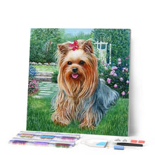 Laden Sie das Bild in den Galerie-Viewer, Diamond Painting | Diamond Painting - Bichon Maltese Dog | animals Diamond Painting Animals dogs | FiguredArt