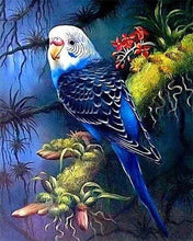 Laden Sie das Bild in den Galerie-Viewer, Diamond Painting, Großsittich