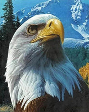 Laden Sie das Bild in den Galerie-Viewer, Diamond Painting, Adler und Berg